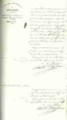 Documento125