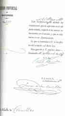 Documento141