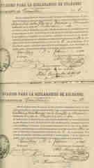 Documento196