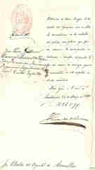 Documento226