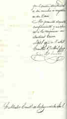 Documento228