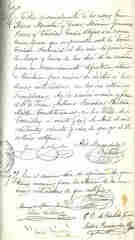 Documento230