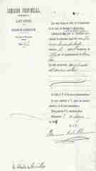Documento236