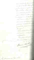 Documento243