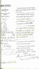 Documento270