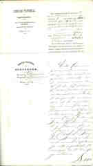 Documento273