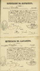 documento29