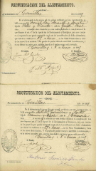 documento31