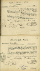 documento88