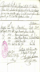 Documento31