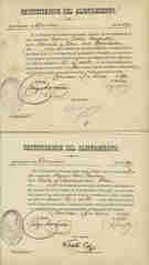 Documento10