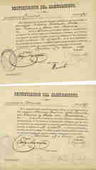 Documento11