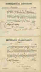 Documento15