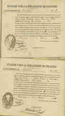 Documento36