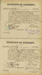 Documento113