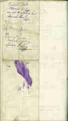 Documento142