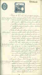 Documento147