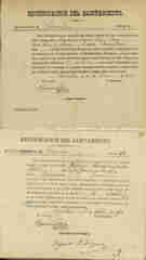 Documento19