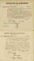 Documento20