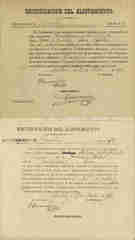 Documento21