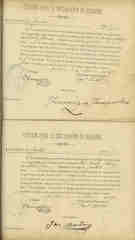 Documento135