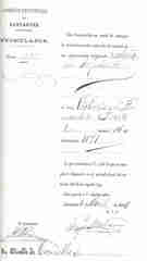doc82