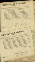 Documento8