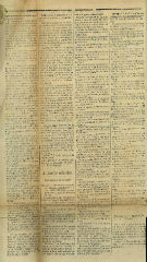 Documento31
