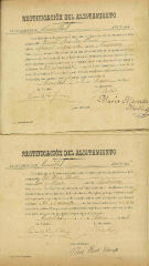 Documento133