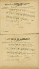 Documento134