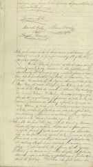Documento221