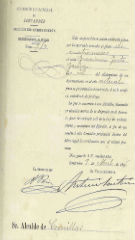 Documento235