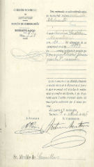 Documento238