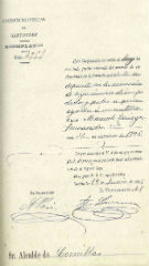 Documento245