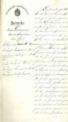 Documento248