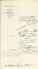 Documento255