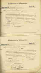 Documento29