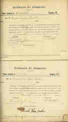 Documento31