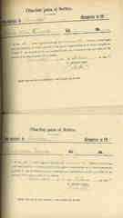 Documento182