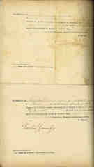 Documento213