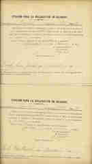 Documento221