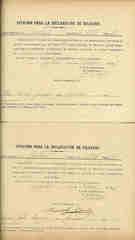 Documento224
