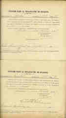 Documento226