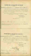 Documento228