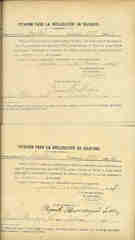 Documento229
