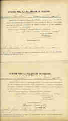 Documento230