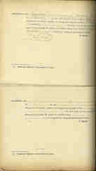 Documento231