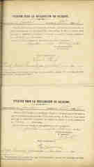 Documento232