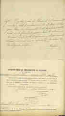 Documento233
