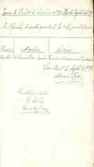 Documento333